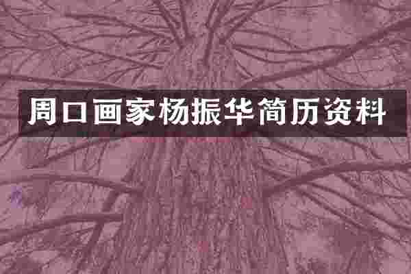 周口画家杨振华简历资料