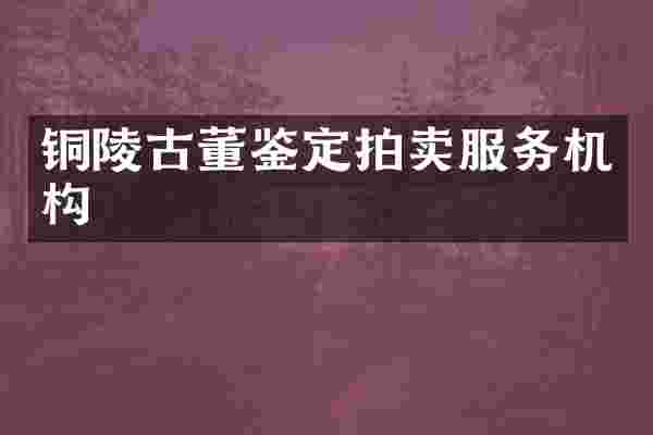 铜陵古董鉴定拍卖服务机构
