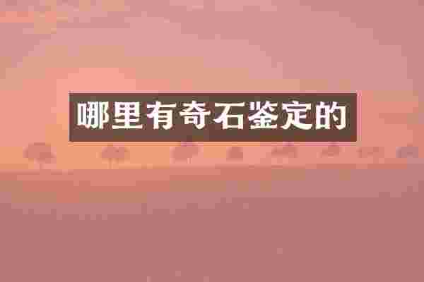 哪里有奇石鉴定的