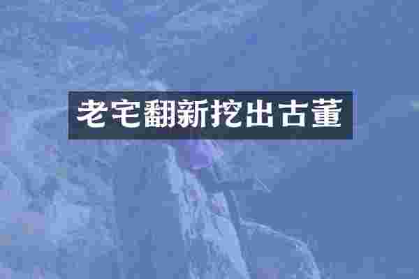 老宅翻新挖出古董