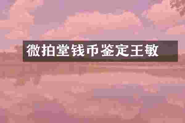 微拍堂钱币鉴定王敏玙