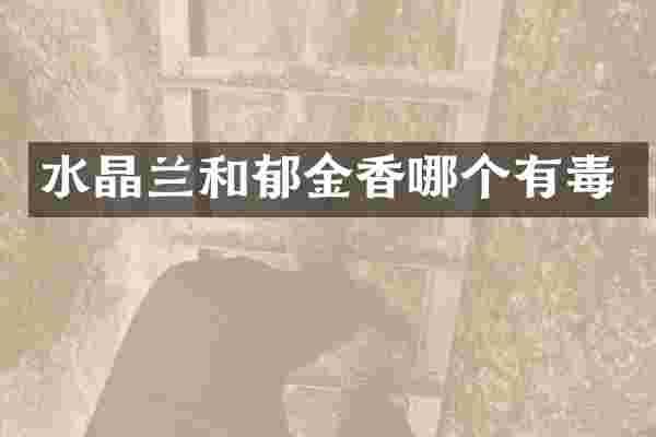 水晶兰和郁金香哪个有毒
