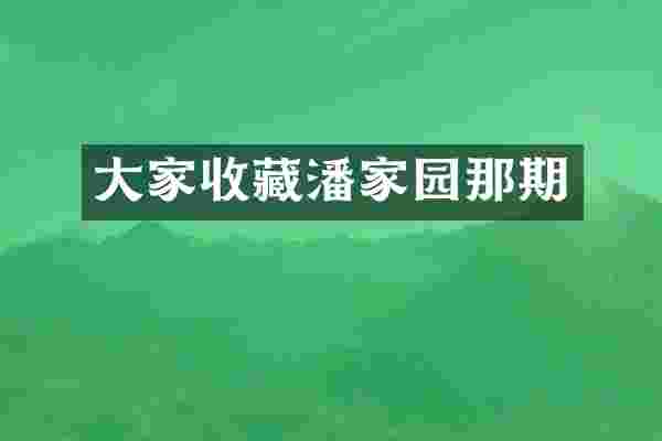 大家收藏潘家园那期