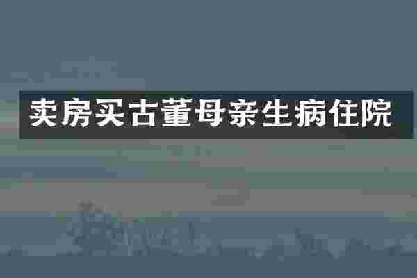 卖房买古董母亲生病住院