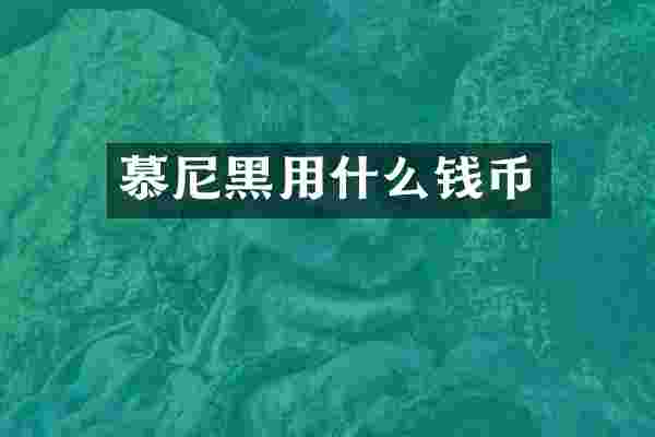 慕尼黑用什么钱币