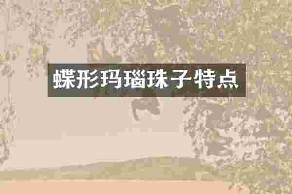 蝶形玛瑙珠子特点