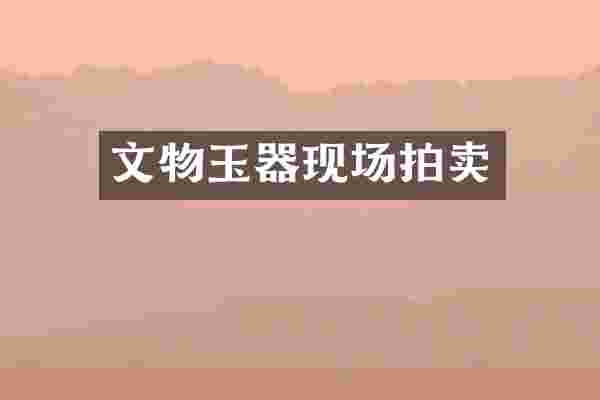 文物玉器现场拍卖
