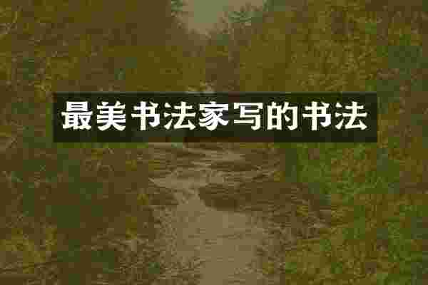 最美书法家写的书法