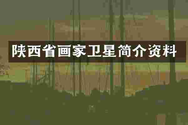 陕西省画家卫星简介资料