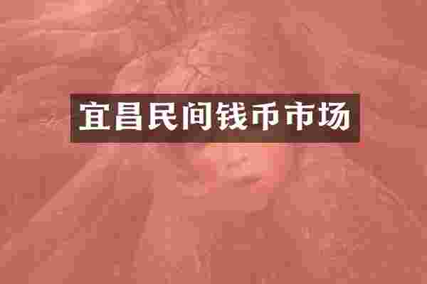 宜昌民间钱币市场