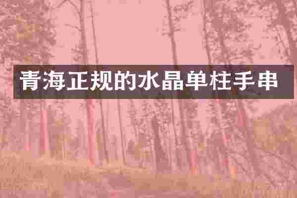 青海正规的水晶单柱手串