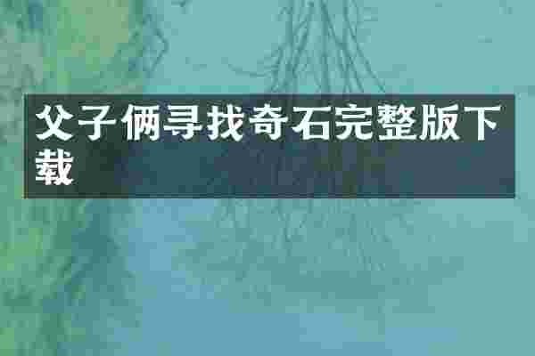 父子俩寻找奇石完整版下载