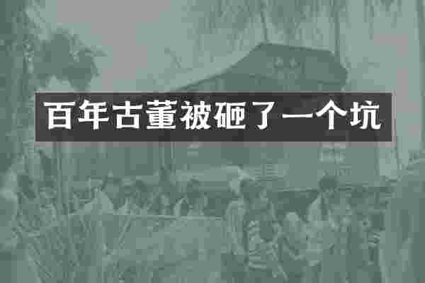 百年古董了一个坑