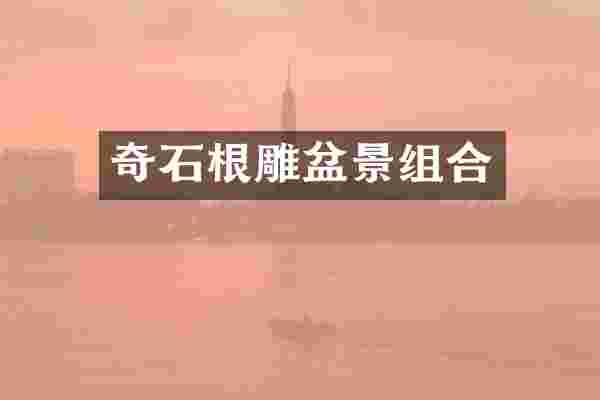 奇石根雕盆景组合