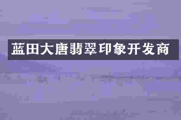 蓝田大唐翡翠印象开发商