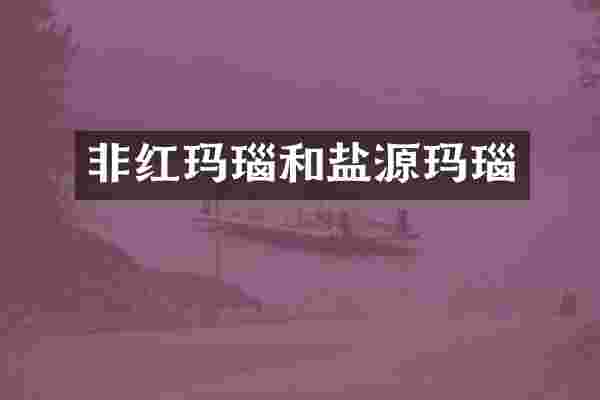 非红玛瑙和盐源玛瑙