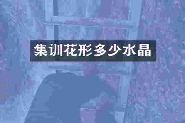 集训花形多少水晶