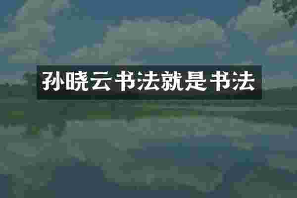 孙晓云书法就是书法