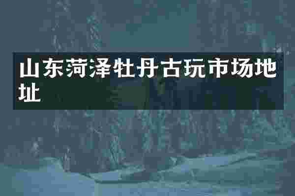 山东菏泽牡丹古玩市场地址