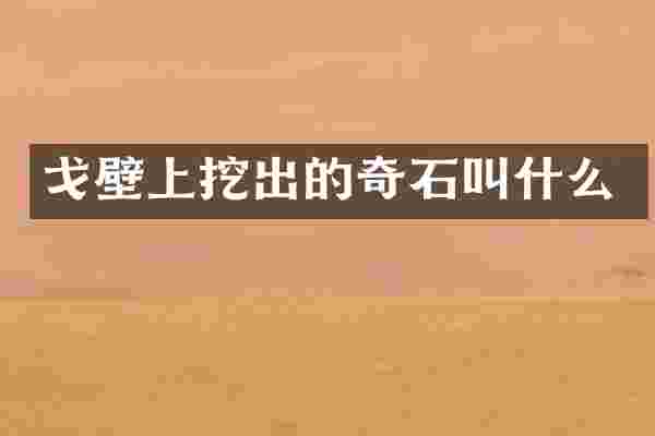 戈壁上挖出的奇石叫什么