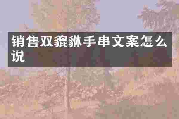 销售双貔貅手串文案怎么说