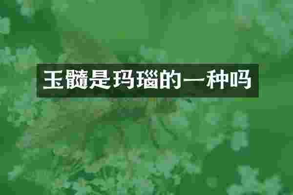 玉髓是玛瑙的一种吗
