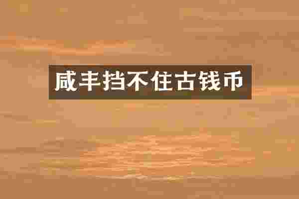 咸丰挡不住古钱币