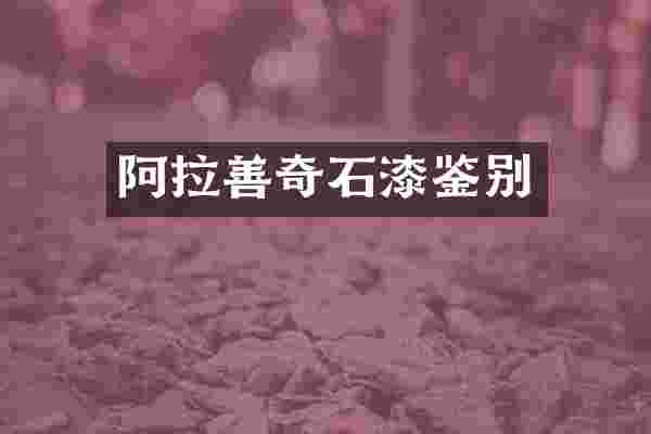 阿拉善奇石漆鉴别