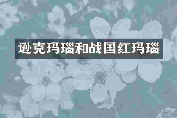 逊克玛瑙和战国红玛瑙