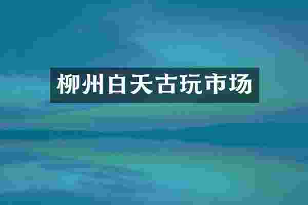 柳州白天古玩市场