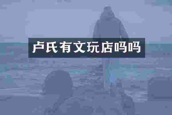 卢氏有文玩店吗吗