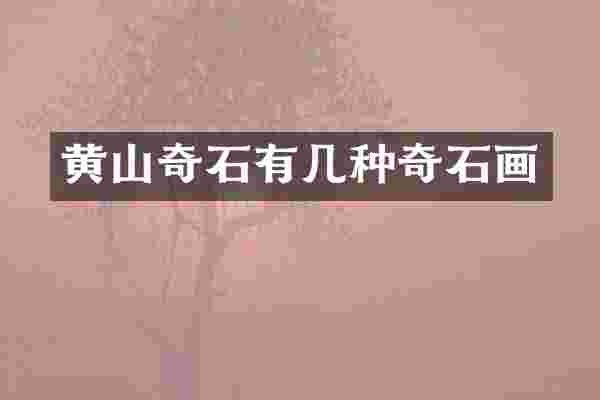 黄山奇石有几种奇石画