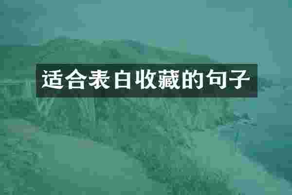 适合表白收藏的句子