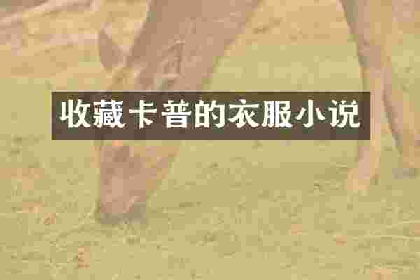 收藏卡普的衣服小说
