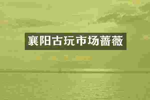 襄阳古玩市场蔷薇