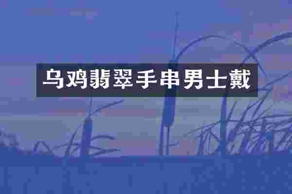 乌鸡翡翠手串男士戴
