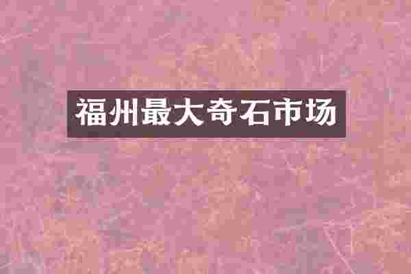 福州最大奇石市场