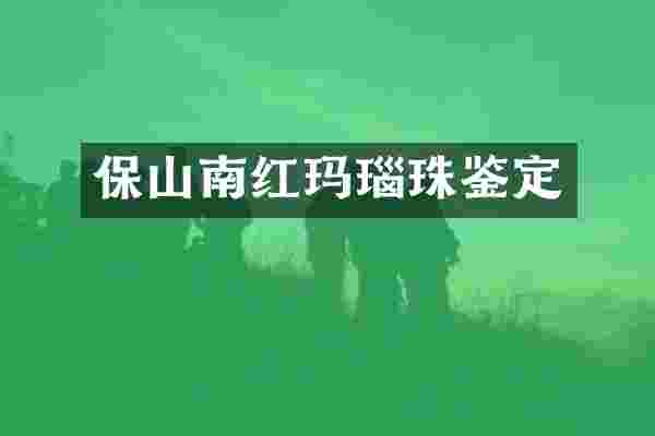 保山南红玛瑙珠鉴定