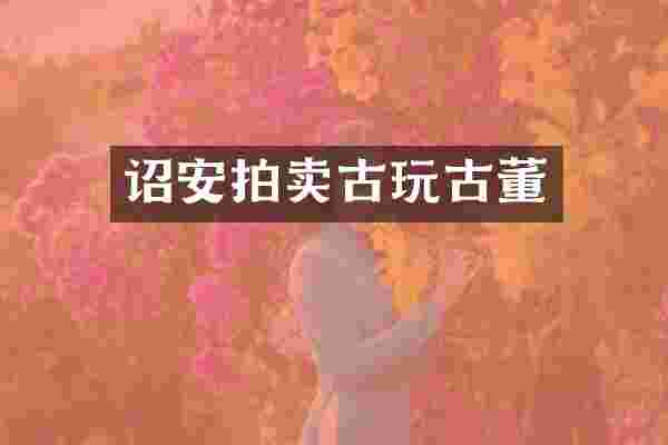 诏安拍卖古玩古董