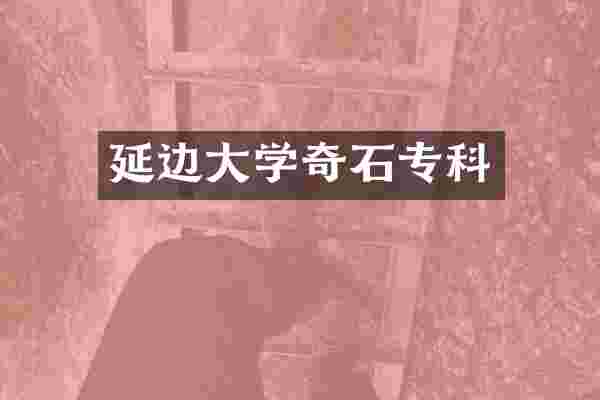延边大学奇石专科