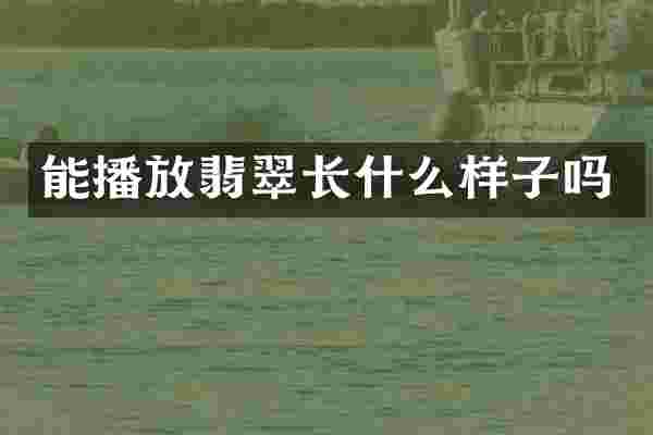 能播放翡翠长什么样子吗