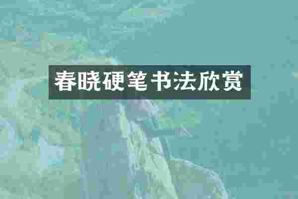 春晓硬笔书法欣赏