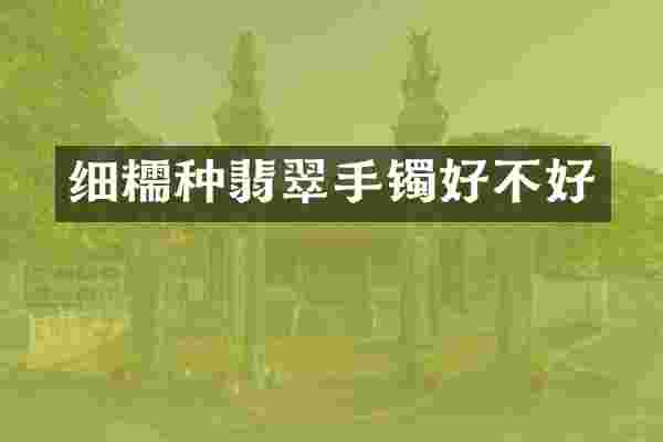 细糯种翡翠手镯好不好
