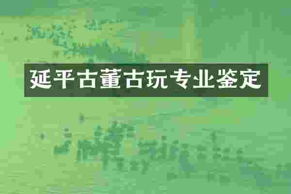 延平古董古玩专业鉴定