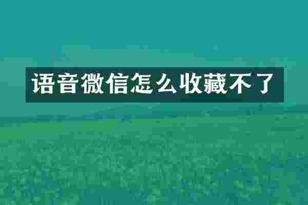 语音微信怎么收藏不了