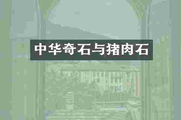 中华奇石与猪肉石