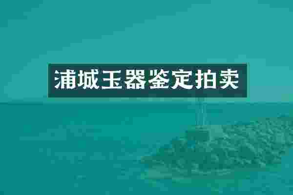 浦城玉器鉴定拍卖