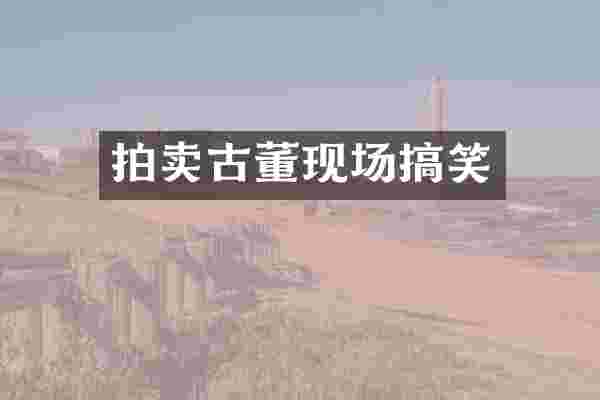 拍卖古董现场搞笑
