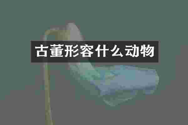 古董形容什么动物