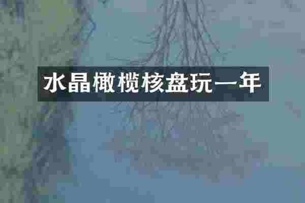 水晶橄榄核盘玩一年